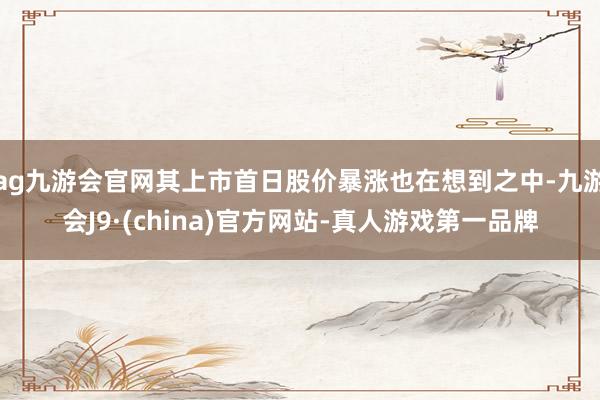 ag九游会官网其上市首日股价暴涨也在想到之中-九游会J9·(china)官方网站-真人游戏第一品牌