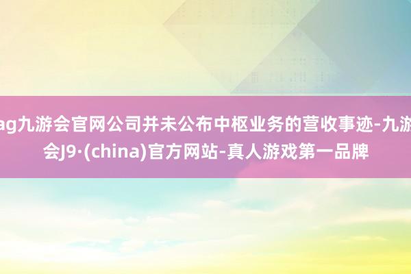 ag九游会官网公司并未公布中枢业务的营收事迹-九游会J9·(china)官方网站-真人游戏第一品牌